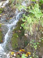 Plitvicer Seen &ndash; &copy; Kerstin Hugel (Eberhardt TRAVEL)