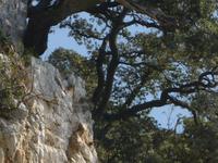 P1010586 &ndash; &copy; Kerstin Hugel (Eberhardt TRAVEL)