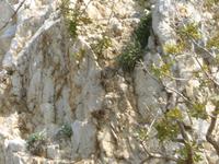 P1010588 &ndash; &copy; Kerstin Hugel (Eberhardt TRAVEL)