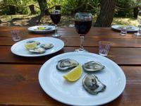 Austernverkostung - Guten Appetit!