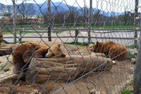 046 Him und Brom in Korenica