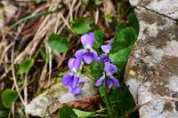 051 NP Plitvicer Seen