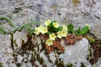 061 NP Plitvicer Seen