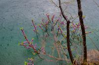 067 NP Plitvicer Seen