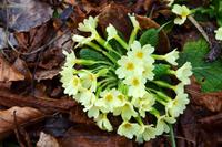 083 NP Plitvicer Seen