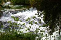 205 Krka NP