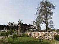 Hotelanlage Solaris Sibenik