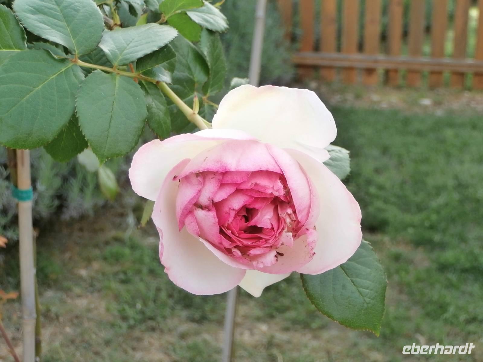 Hotelanlage Solaris Sibenik