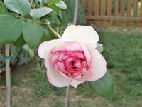 Hotelanlage Solaris Sibenik