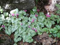 unterwegs im Nationalpark Paklenica