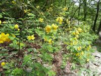 unterwegs im Nationalpark Paklenica