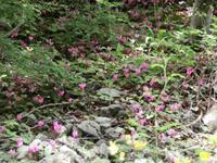 unterwegs im Nationalpark Paklenica