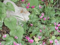 unterwegs im Nationalpark Paklenica