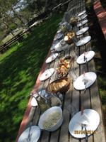 IMG_3116 Nicht lang und die Teller waren leer ...