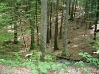 unterwegs auf dem Leska Lehrpfad im NTP Risnjak