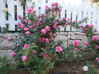 Anlage Solaris in Sibenik