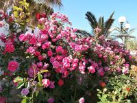 Anlage Solaris in Sibenik