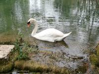 im NTP Krka Wasserfälle-Skradinski buk