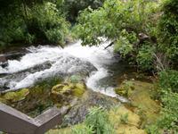 im NTP Krka Wasserfälle-Skradinski buk
