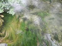 im NTP Krka Wasserfälle-Skradinski buk