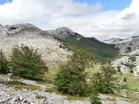 unterwegs am Mali Alan mit Marin und Jeeps