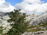 unterwegs am Mali Alan mit Marin und Jeeps