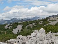 unterwegs im Velebit mit Marin und Jeeps