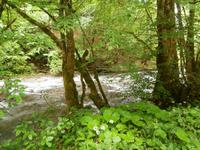 entlang des Baches Curak