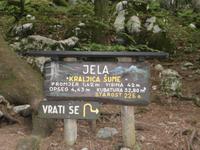 Königin des Waldes im Park Golumbinjak