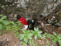 im Park Golumbinjak-Ausgang der Höhle