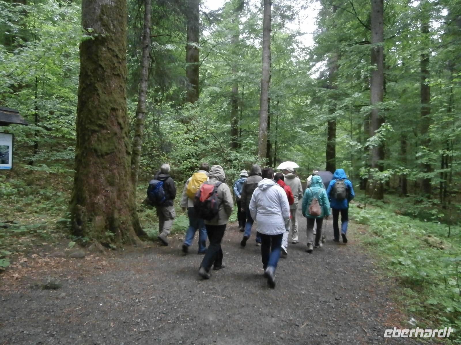 Leska Lehrpfad im NTP Risnjak
