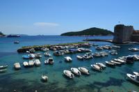 119 Dubrovnik, Insel Lokrum