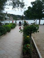61_Rabac