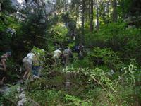 Park Suma Golubinjal