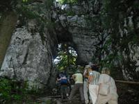 Park Suma Golubinjal