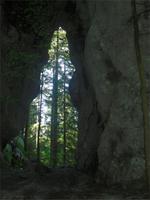 Park Suma Golubinjal