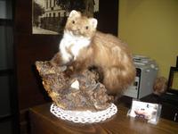 Fuzine im Gorski Kotar