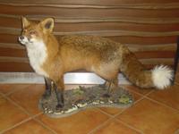 Fuzine im Gorski Kotar