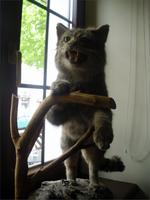 Fuzine im Gorski Kotar