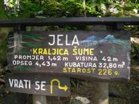 Park Suma Golubinjal