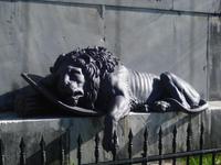 Löwe am Predel Pass