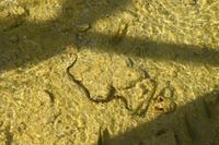 048 NP Plitvicer Seen