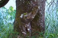 054 NP Plitvicer Seen