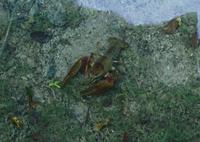 064 NP Plitvicer Seen