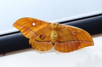 072 NP Plitvicer Seen