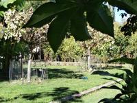 Bootstour zum Rosky Slap-Insel Visovac