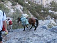 Nationalpark Paklenica