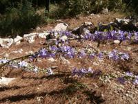 Nationalpark Paklenica