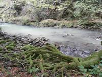 unterwegs in Zeleni Vir