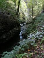 unterwegs in Zeleni Vir